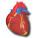 Cardiac and Congenital