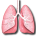 Pearson's General Thoracic icon